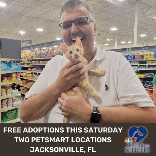 Animal shelter hosts free adoption event at PetSmart - Restoration NewsMedia